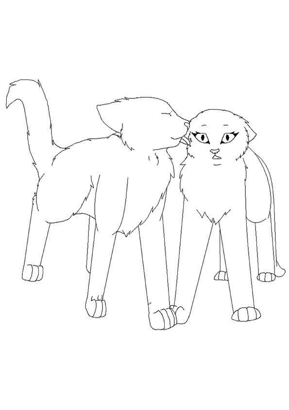 Dibujo de Pareja Guerrero Gato para Colorear