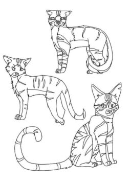Dibujo de Tres Gatos Guerreros para Colorear
