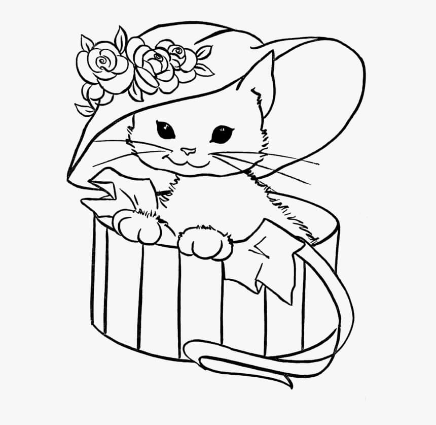 Dibujo de Bebé Gato con Sombrero Flor en Caja para Colorear