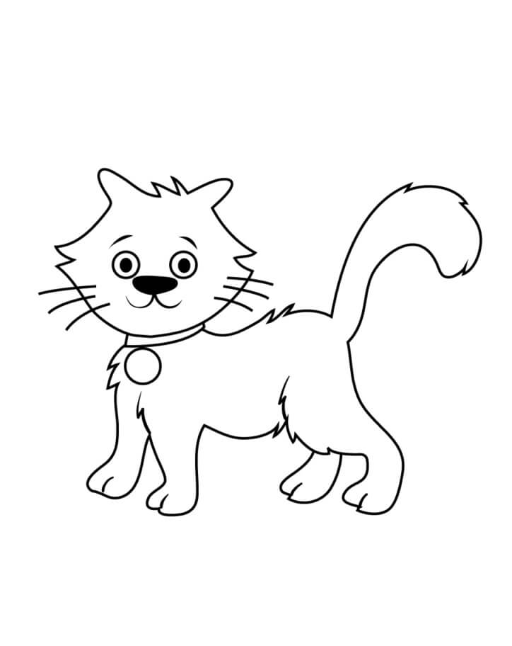 Dibujo de Bonito Gato para Colorear