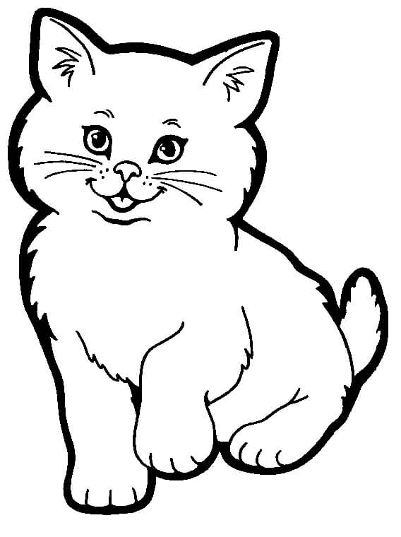 Dibujo de Divertido Gato para Colorear