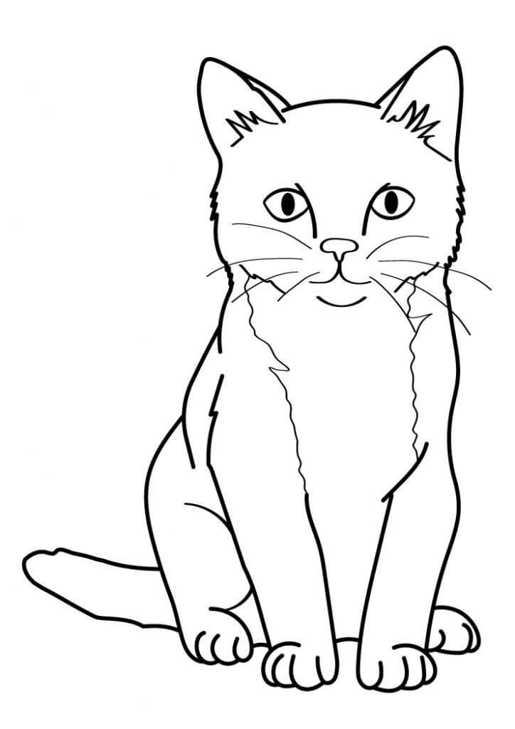Dibujo de Gato básico para Colorear