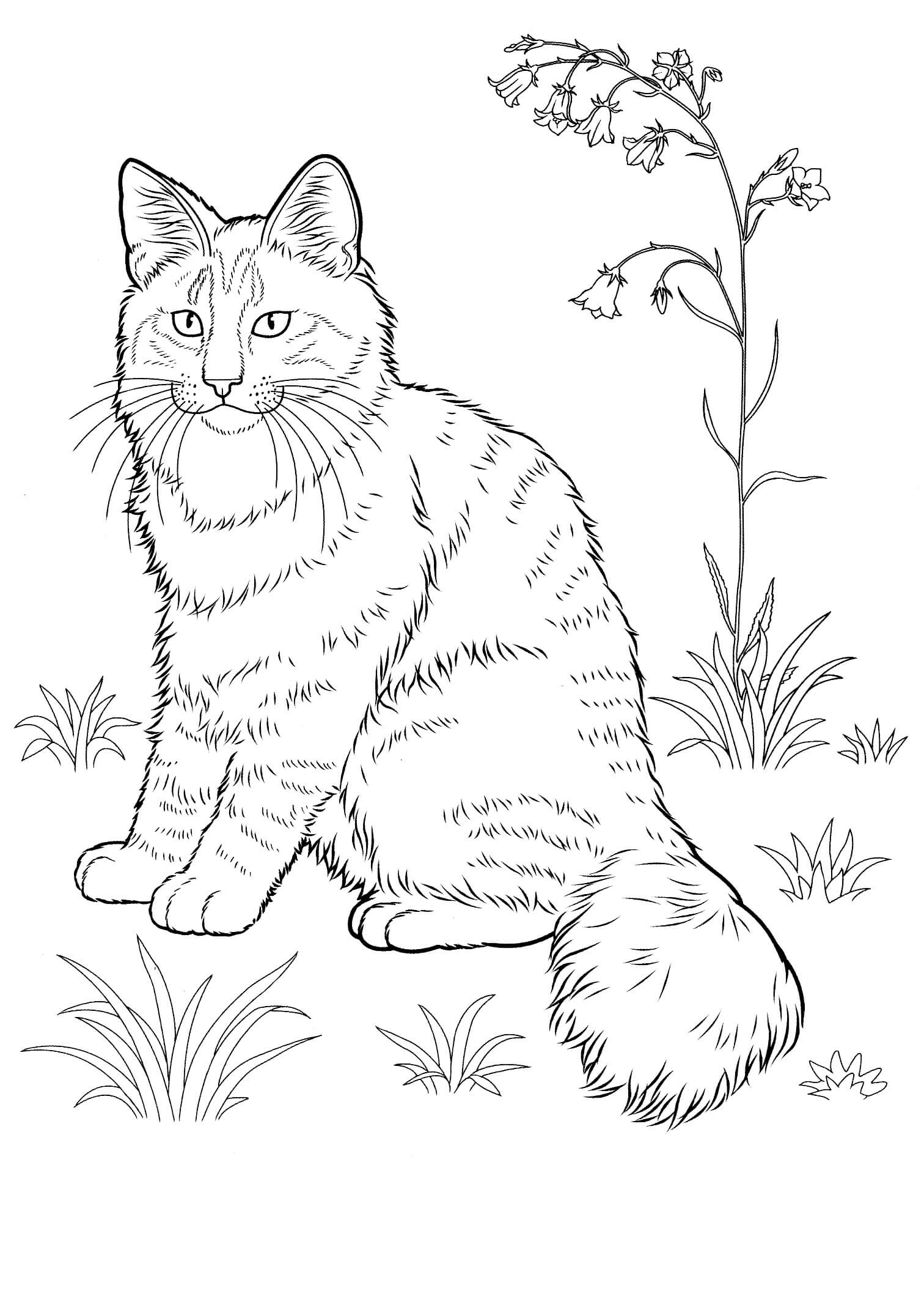 Dibujo de Gato con Hierba y Flor para Colorear