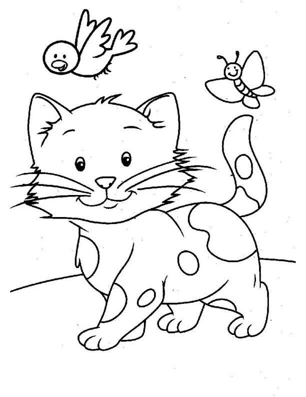 Dibujo de Gato con pájaro y Mariposa para Colorear