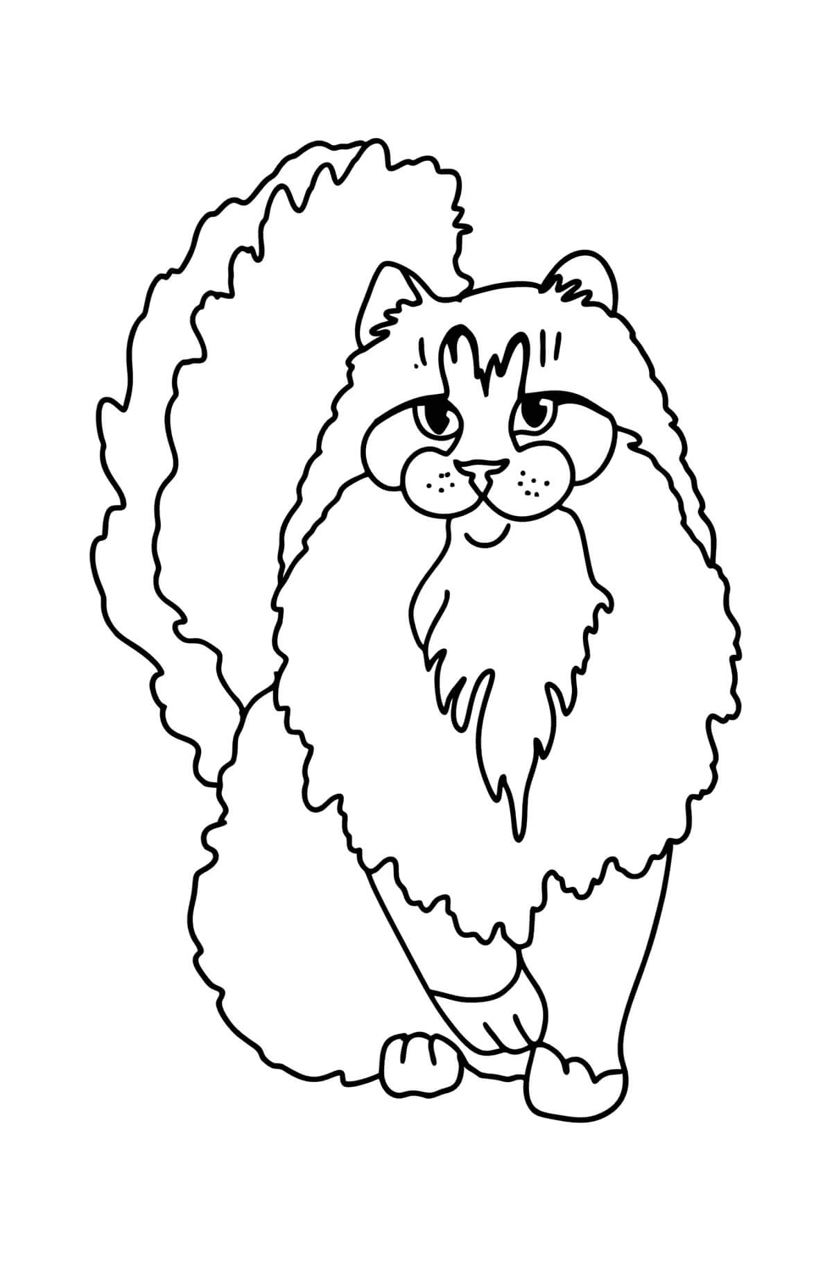 Dibujo de Gato del Bosque Noruego para Colorear
