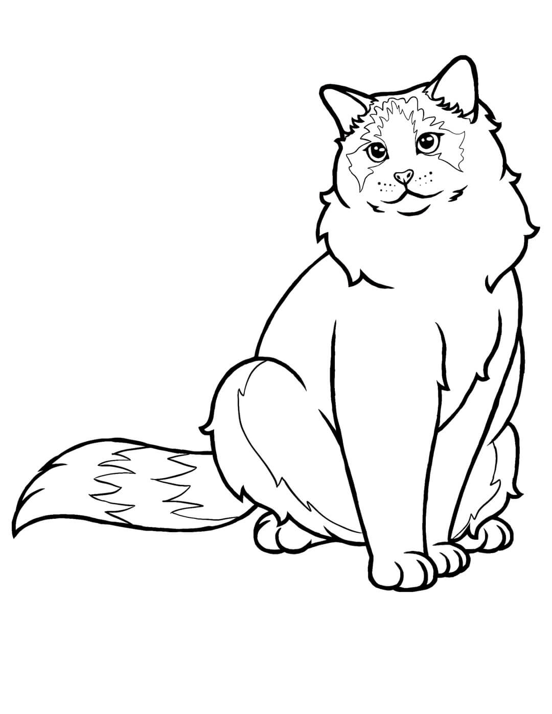 Dibujo de Gato muñeco de Trapo para Colorear