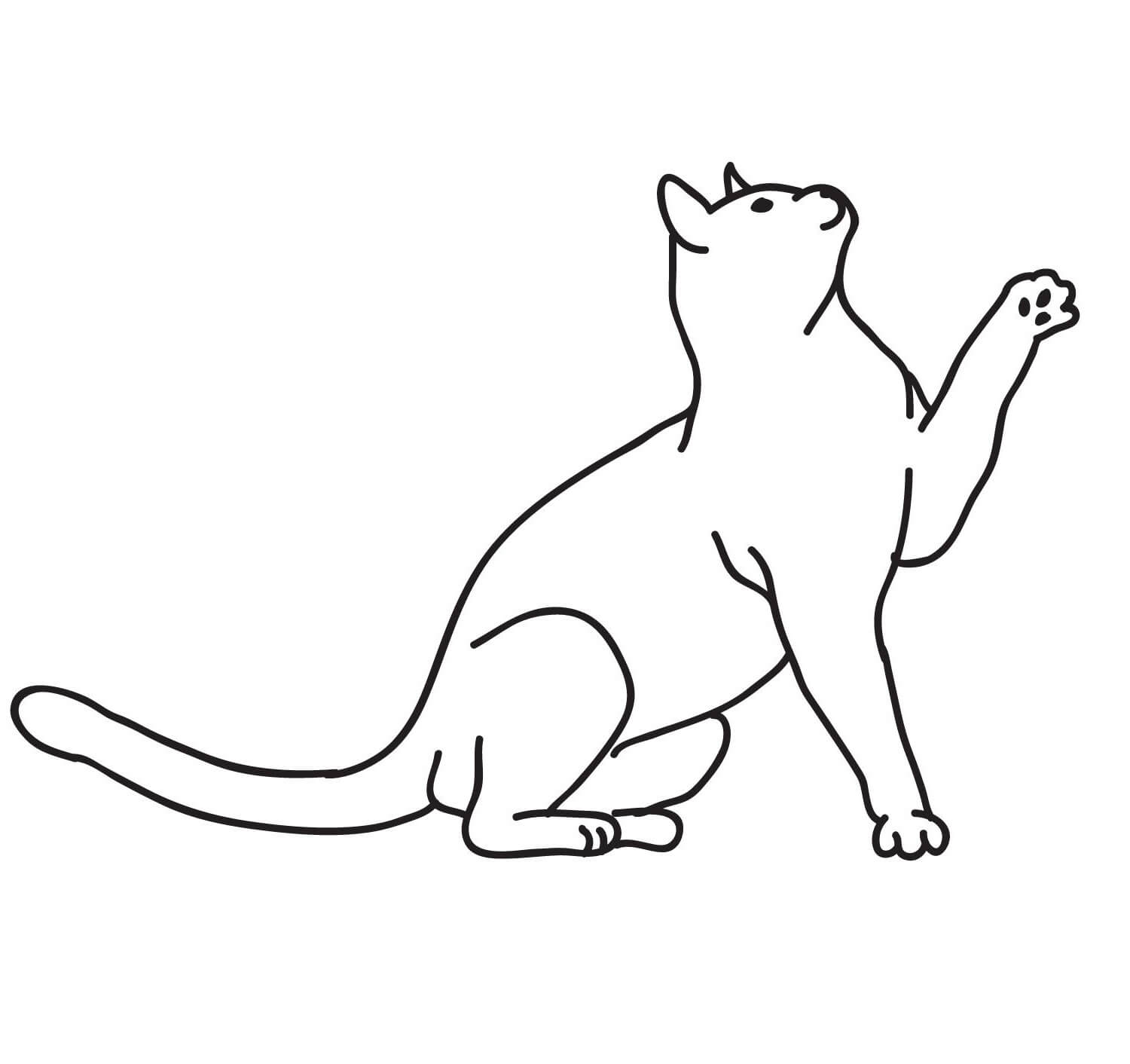 Dibujo de Gato Normal para Colorear