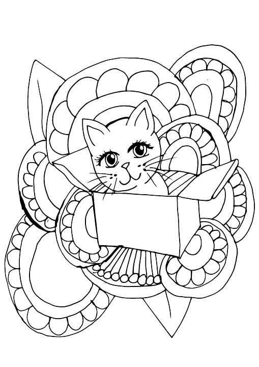 Dibujo de Gato Perfecto para Colorear