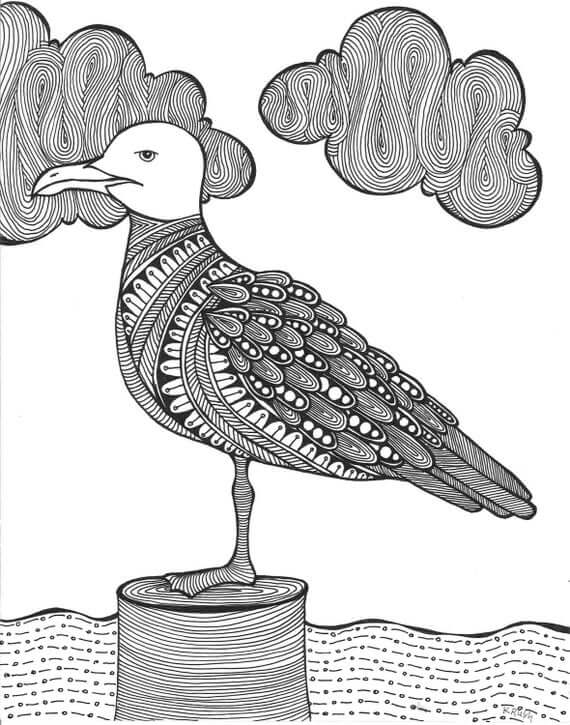Dibujo de Gaviota Adulto para Colorear