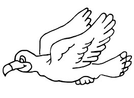 Dibujo de Gaviota de Dibujos Animados para Colorear