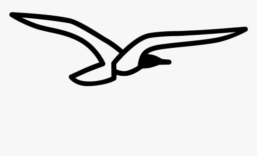 Dibujo de Gaviota de Pie para Colorear