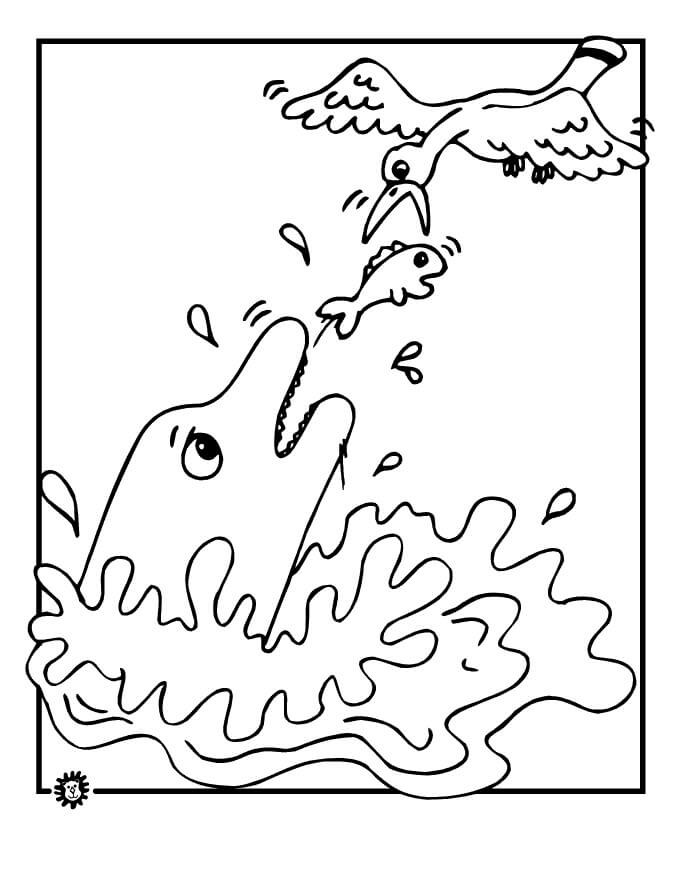 Dibujo de Gaviota Imprimible para Colorear