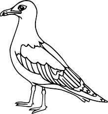 Dibujo de Gaviotas básicas para Colorear