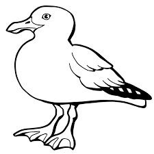 Dibujo de Gaviotas Normales para Colorear
