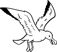 Dibujo de Gaviotas Voladoras Simples para Colorear