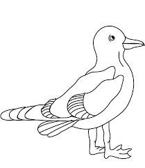 Dibujo de Gaviotas para Colorear