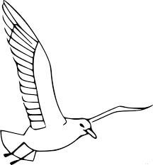 Dibujo de Genial Gaviota Volando para Colorear