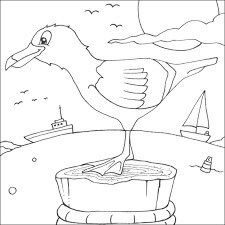 Dibujo de Gran Gaviota para Colorear