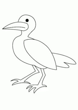 Dibujo de Hermosa Gaviota para Colorear