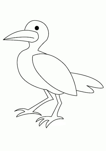 Dibujo de Hermosa Gaviota para Colorear