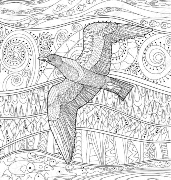Dibujo de Mandala de Gaviota para Colorear