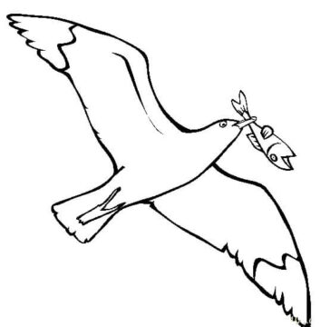 Dibujo de Pesca de Gaviotas para Colorear