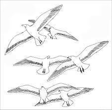 Dibujo de Seis Pares de Gaviotas para Colorear