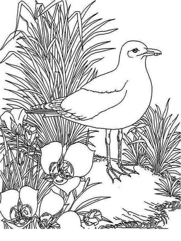 Dibujo de Imenli Mart para Colorear