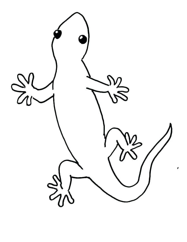Dibujo de Fcil Gecko para Colorear