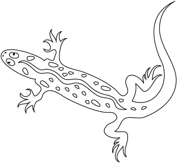 Dibujo de Gecko Imprimible para Colorear