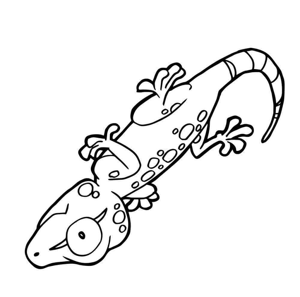 Dibujo de Gecko Lindo de Dibujos Animados para Colorear