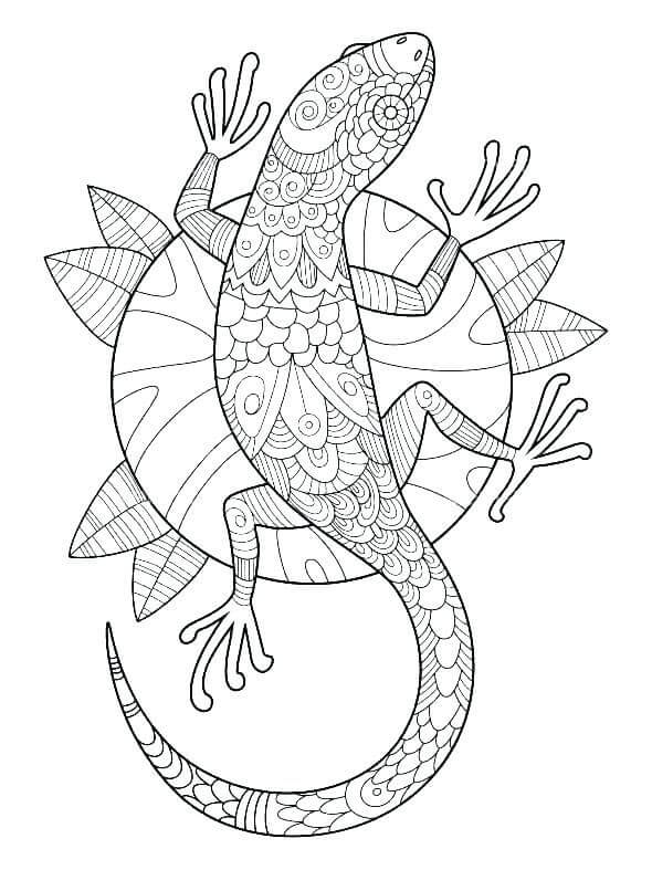 Dibujo de Gecko Es para Adultos para Colorear