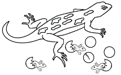 Dibujo de Geckos y Nios para Colorear
