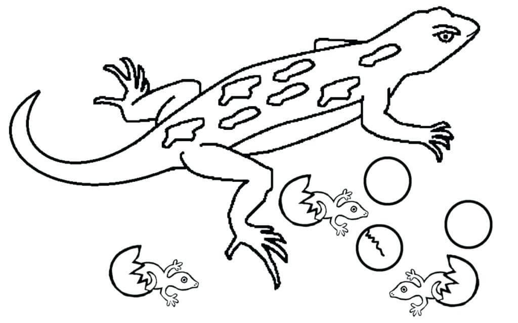Dibujo de Geckos y Nios para Colorear