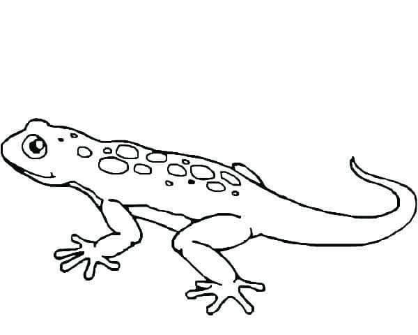 Dibujo de Increble Gecko para Colorear