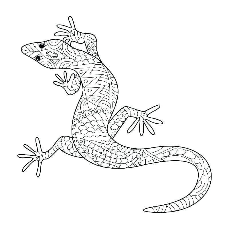 Dibujo de Mandalas Gecko para Colorear