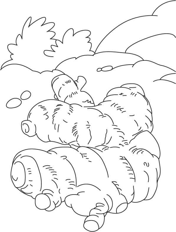 Dibujo de Dos Gingers para Colorear