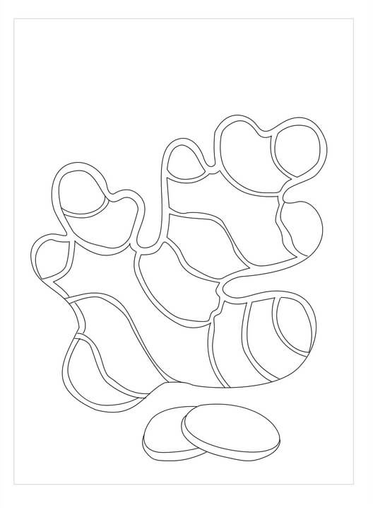 Dibujo de Jengibre Bsico para Colorear