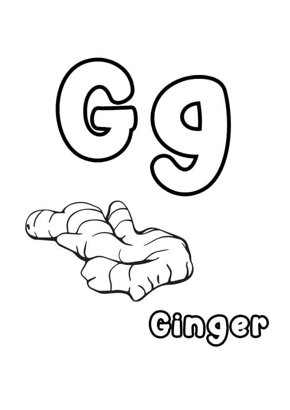 Dibujo de Letra G y Jengibre para Colorear