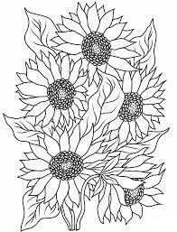 Dibujo de Cinco Girasol para Colorear