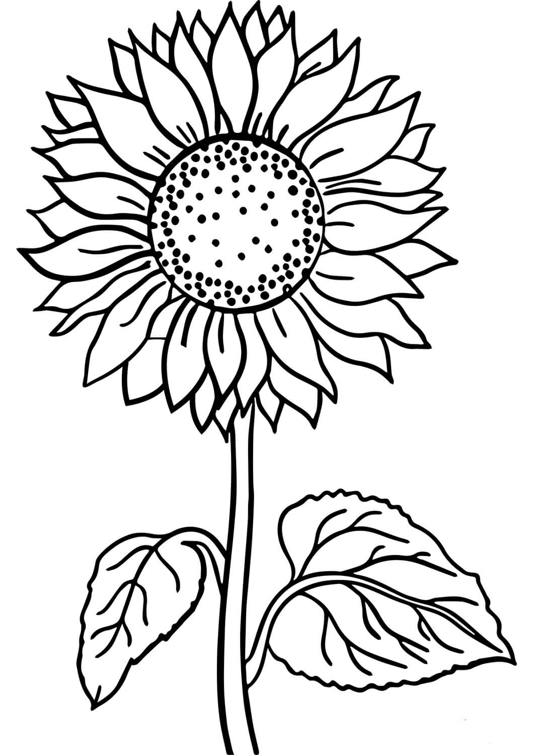 Dibujo de Girasol Bsico para Colorear