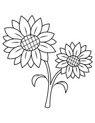 Dibujo de Girasol Gemelo para Colorear