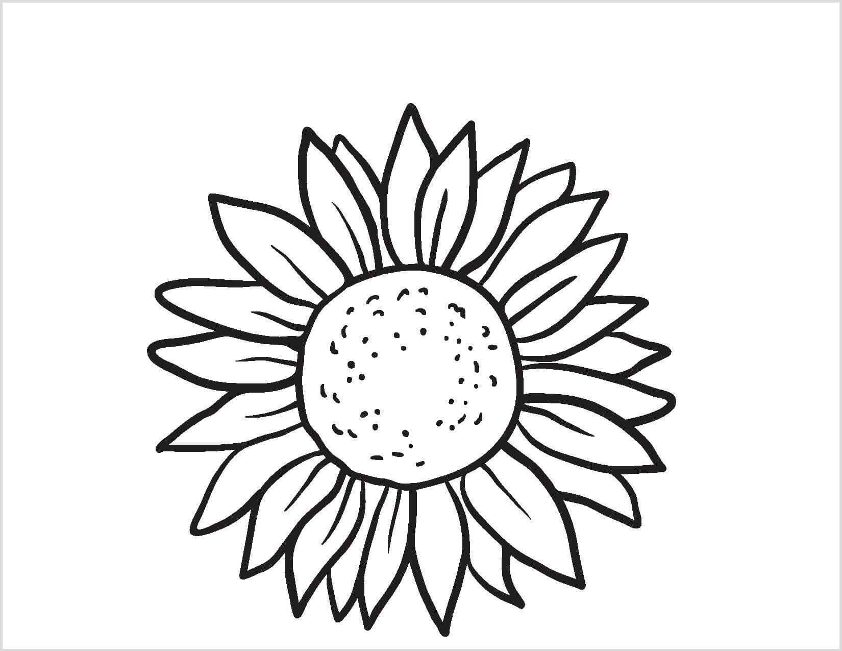 Dibujo de Girasol Impresionante para Colorear