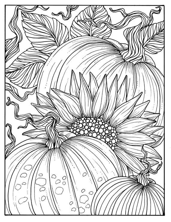 Dibujo de Girasol con Calabaza para Colorear