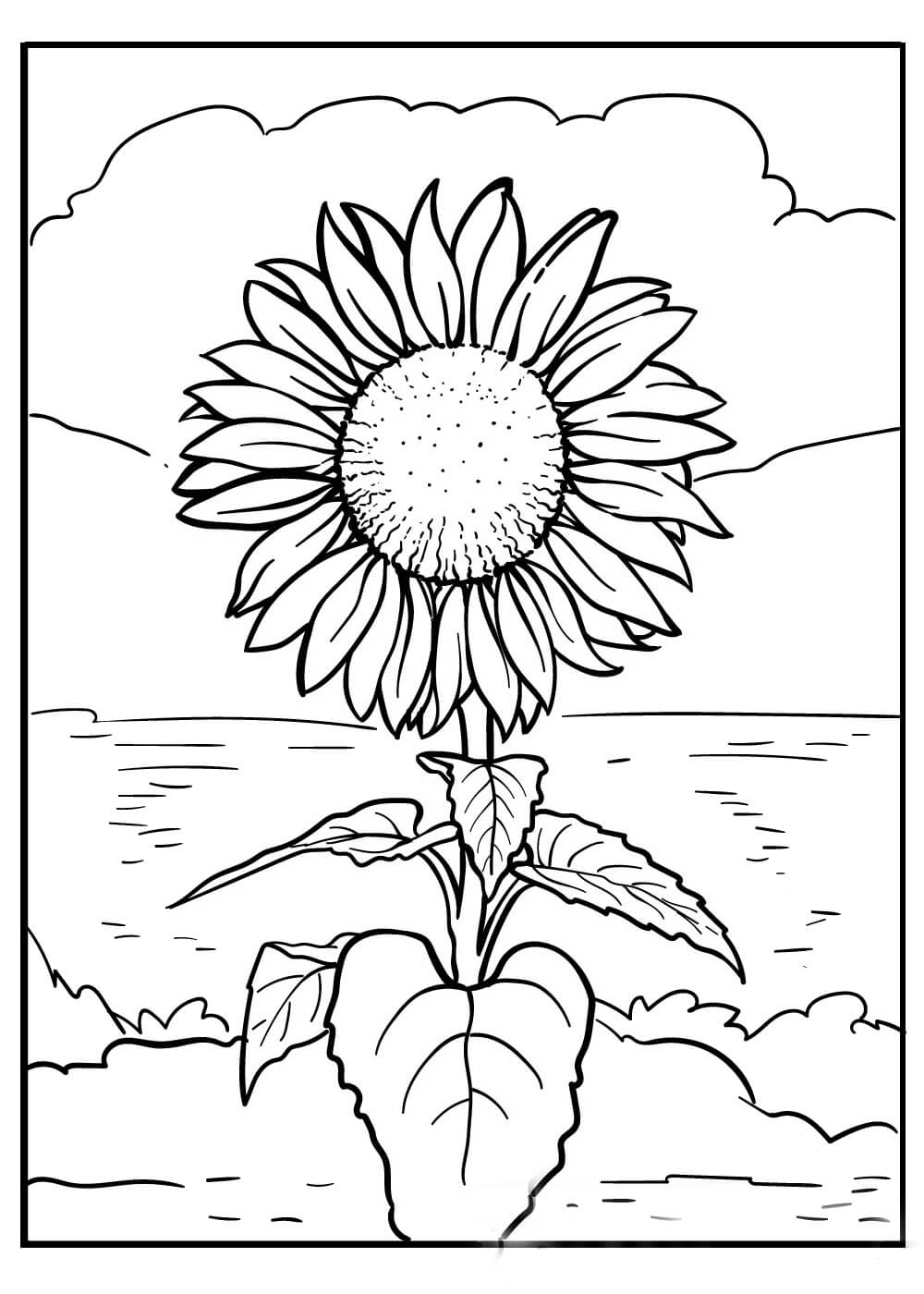Dibujo de Girasol en la Playa para Colorear