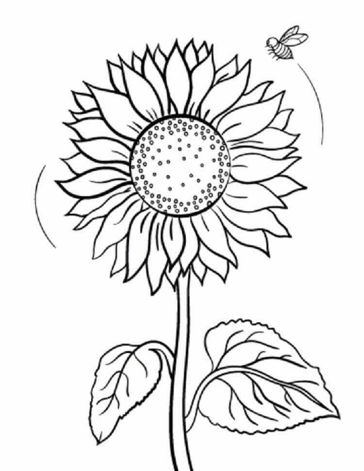 Dibujo de Girasol y Abeja para Colorear