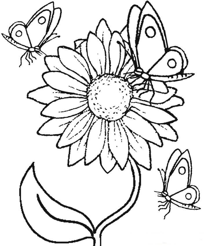 Dibujo de Girasol y Mariposa para Colorear