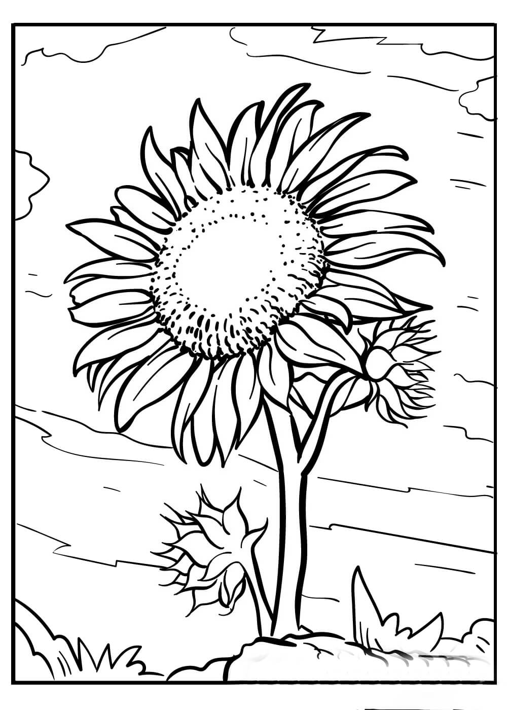 Dibujo de Hermoso Girasol para Colorear