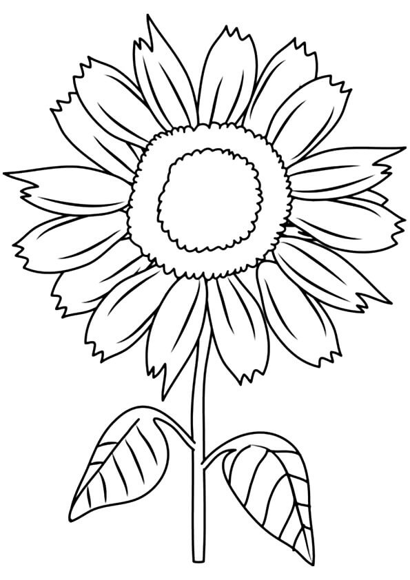 Dibujo de Sonrisa Soleada Girasol para Colorear