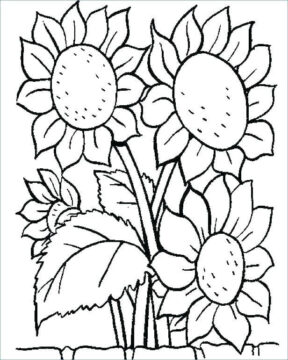 Dibujo de Un Ramo de Girasoles para Colorear